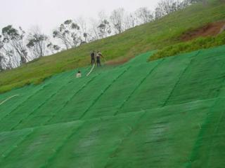 三維植被網(wǎng)