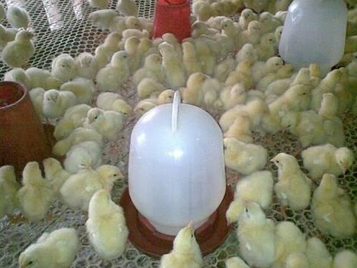 201210181059552260 201210181059552260