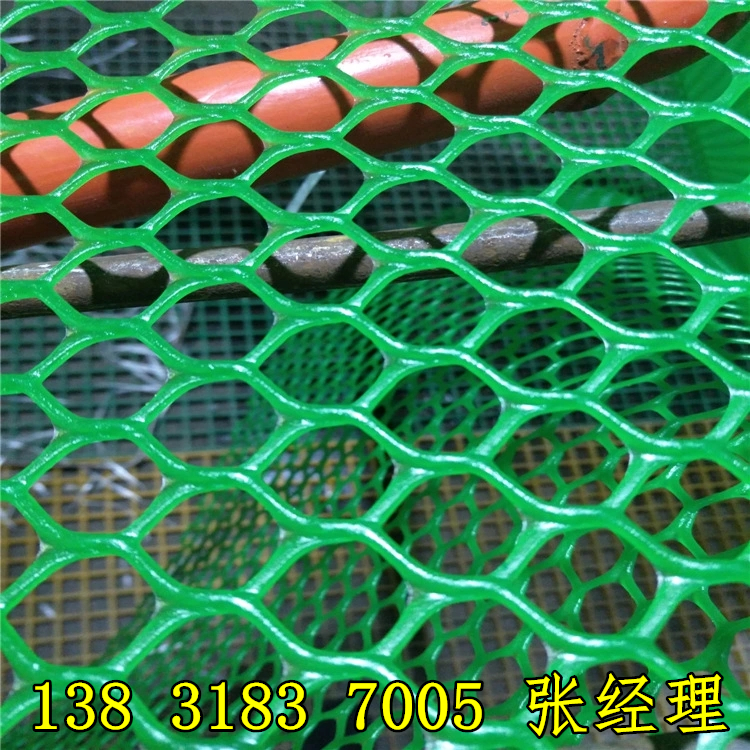 3844000329_1109553934.jpg_.webp_副本(běn) 3844000329_1109553934.jpg_.webp_副本