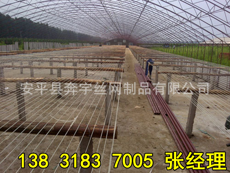 81441502442240.jpg 81441502442240.jpg