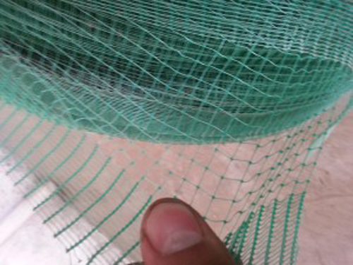 20130304_091524-300x225 20130304_091524-300x225